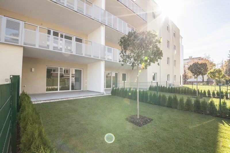 Privatgarten mit Rasen und jungem Baum vor den Terrassen